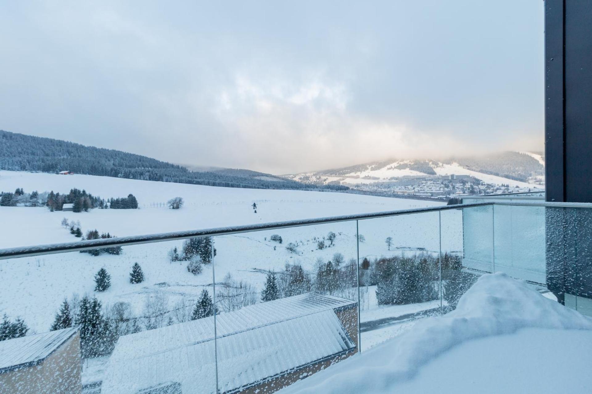 Apartmany Vista Klinovec Loucna pod Klinovcem Luaran gambar
